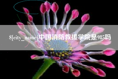 渭南中国消防救援学院是985吗