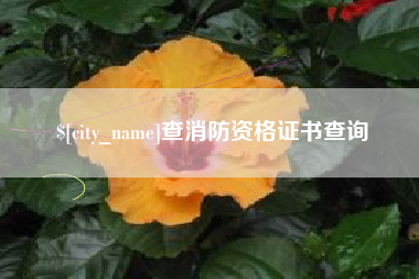 渭南查消防资格证书查询