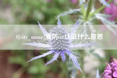 渭南消防ccc认证什么意思