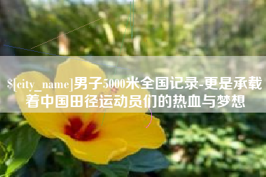 渭南男子5000米全国记录-更是承载着中国田径运动员们的热血与梦想