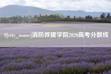 渭南消防救援学院2020高考分数线