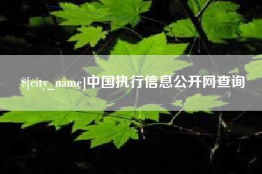 渭南中国执行信息公开网查询