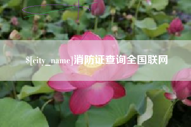 渭南消防证查询全国联网