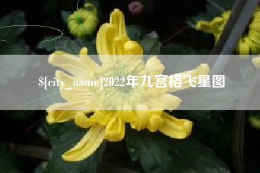 渭南2022年九宫格飞星图