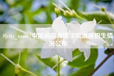 渭南中国消防救援学院湖南招生情况公布