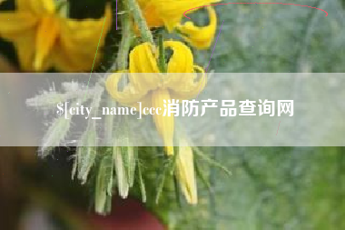 渭南ccc消防产品查询网