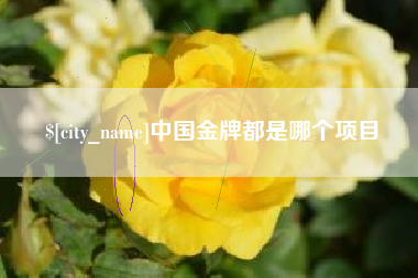 渭南中国金牌都是哪个项目
