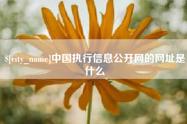 渭南中国执行信息公开网的网址是什么