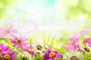 渭南中国消防网1190119