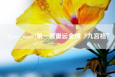 渭南第一波奥运金牌“九宫格”