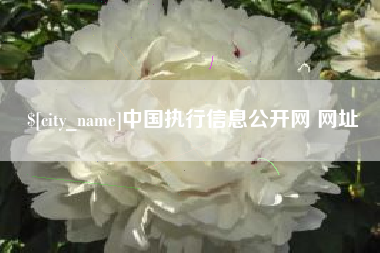 渭南中国执行信息公开网 网址
