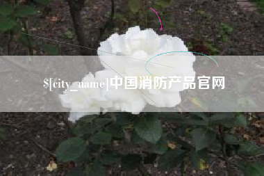 渭南中国消防产品官网