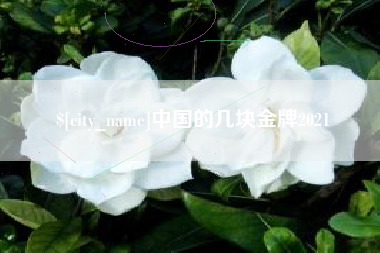 渭南中国的几块金牌2021