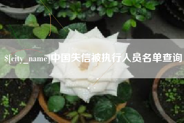 渭南中国失信被执行人员名单查询
