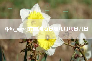 渭南我国消防日是几月几日几日