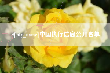 渭南中国执行信息公开名单