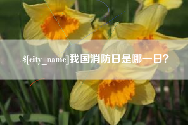 渭南我国消防日是哪一日？