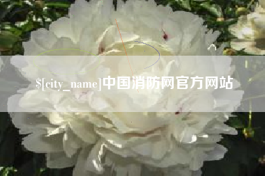 渭南中国消防网官方网站