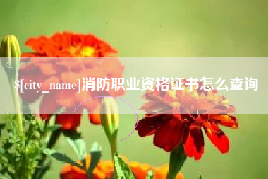 渭南消防职业资格证书怎么查询