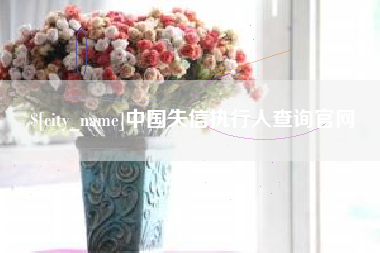 渭南中国失信执行人查询官网