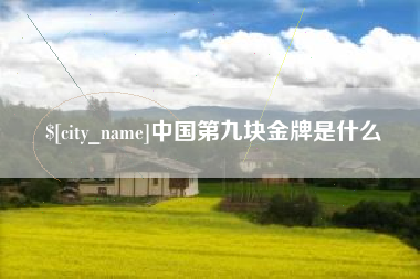 渭南中国第九块金牌是什么
