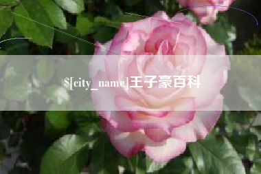 渭南王子豪百科