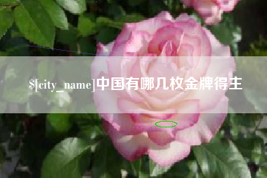 渭南中国有哪几枚金牌得主
