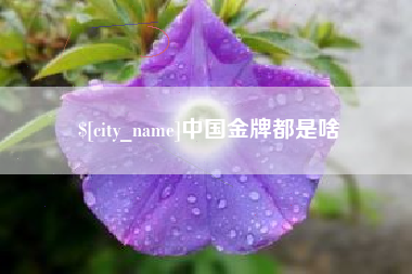 渭南中国金牌都是啥