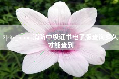 渭南消防中级证书电子版查询多久才能查到