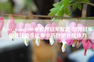 渭南5000米世界冠军配速-世界冠军们往往能在比赛中巧妙地分配体力