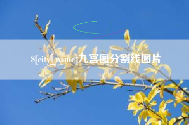 渭南九宫图分割线图片