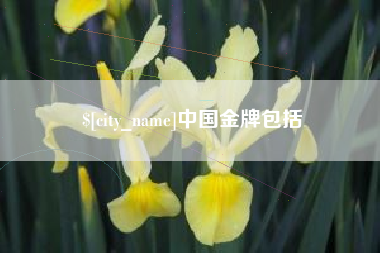 渭南中国金牌包括
