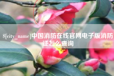 渭南中国消防在线官网电子版消防证怎么查询
