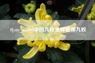 渭南中国九枚金牌是哪九枚