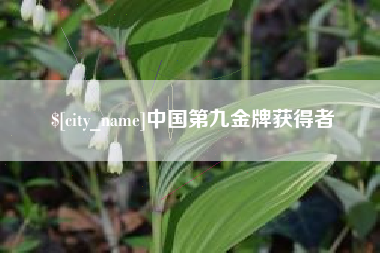 渭南中国第九金牌获得者