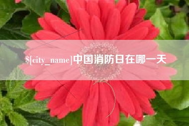 渭南中国消防日在哪一天