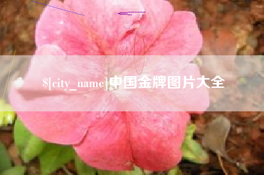 渭南中国金牌图片大全