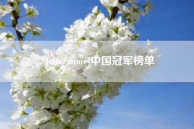 渭南中国冠军榜单