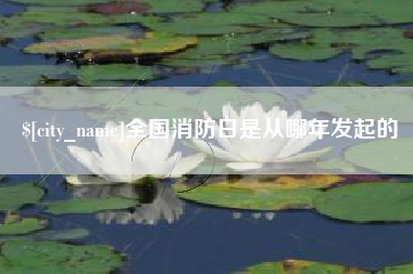 渭南全国消防日是从哪年发起的