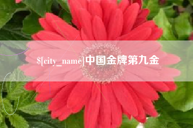 渭南中国金牌第九金