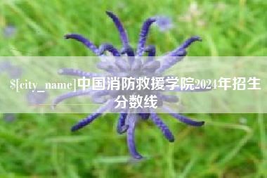 渭南中国消防救援学院2024年招生分数线
