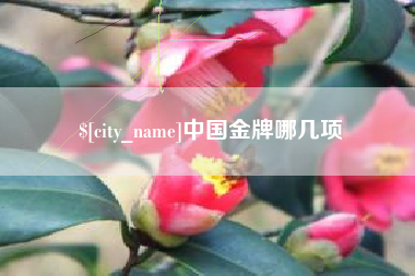 渭南中国金牌哪几项