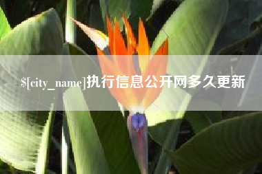 渭南执行信息公开网多久更新