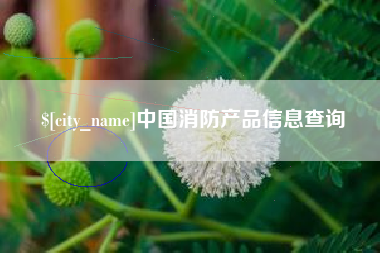 渭南中国消防产品信息查询