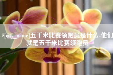 渭南五千米比赛领跑员是什么-他们就是五千米比赛领跑员