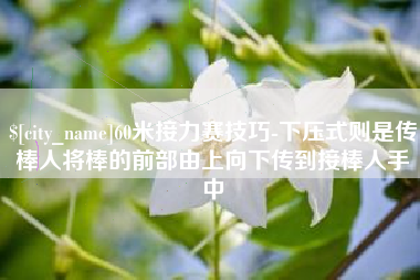 渭南60米接力赛技巧-下压式则是传棒人将棒的前部由上向下传到接棒人手中