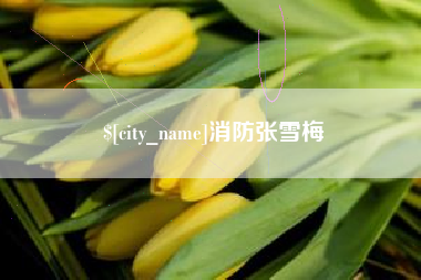 渭南消防张雪梅