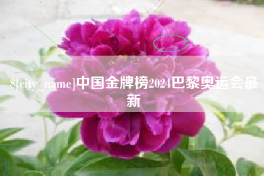 渭南中国金牌榜2024巴黎奥运会最新