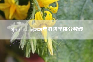渭南2020年消防学院分数线