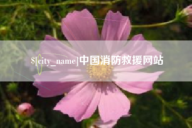 渭南中国消防救援网站